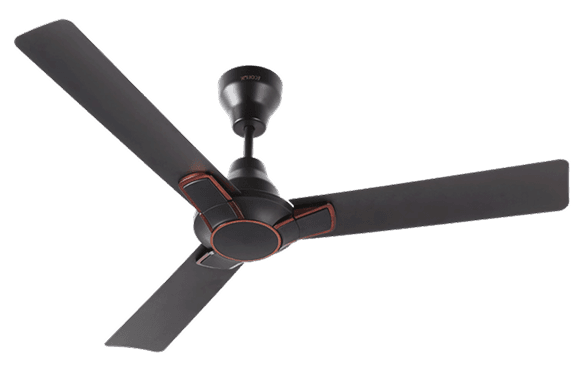 EcoLink Stardust BLDC Ceiling Fan